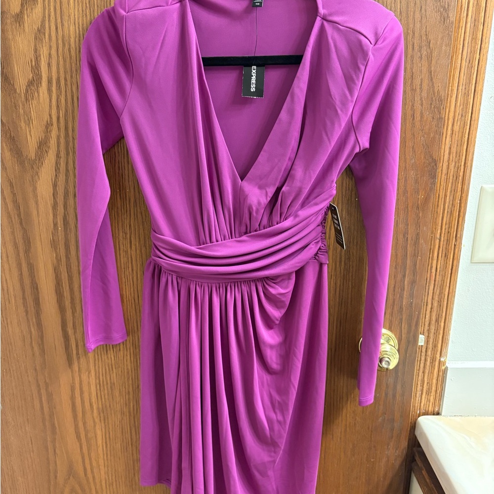 Express Fuchsia Long Sleeve Dress